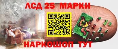 стаф Сланцы