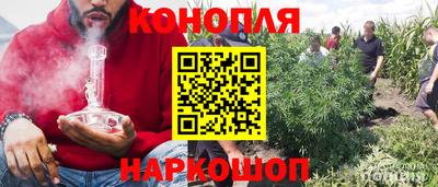 Альфа ПВП Ливны