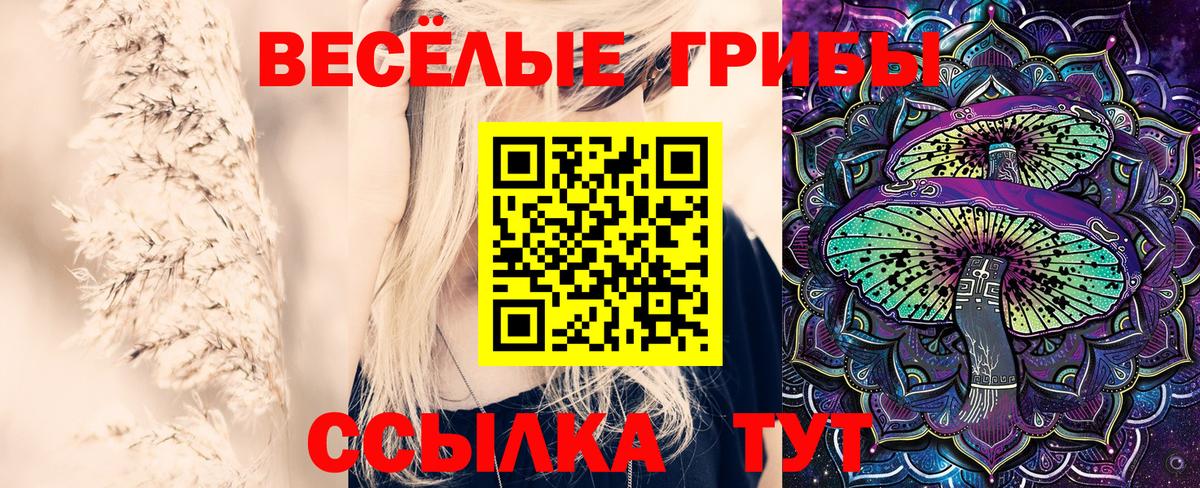 Галлюциногенные грибы Psilocybe  Галлюциногенные грибы мицелий  Вход с VPN  Скопин 