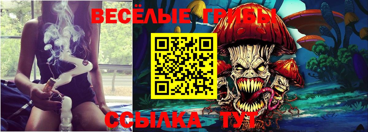 Псилоцибиновые грибы MAGIC MUSHROOMS Скопин